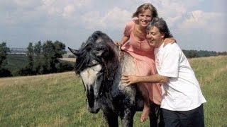 THE LONG AND WINDING ROAD - PAUL MCCARTNEY & LINDA MCCARTNEY)