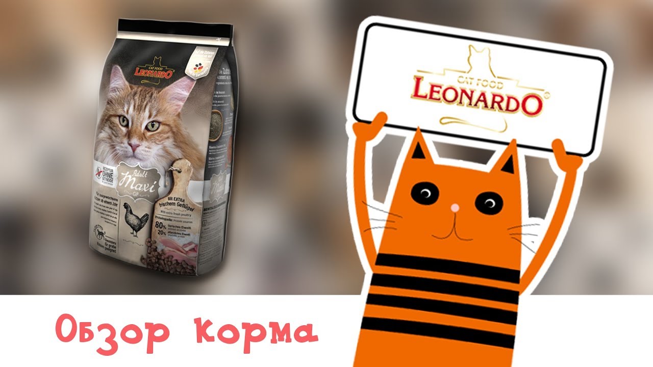Леонардо Интернет Магазин Корм Для Кошек