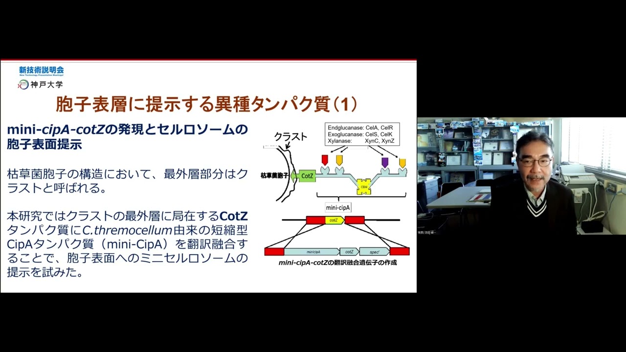 枯草菌胞子表層提示技術による新規バイオマス分解製剤の開発」神戸大学
