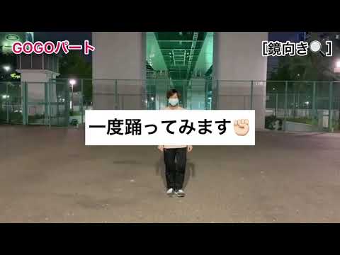 僕らに続く道 振り解説⑤ gogo 25代目 名古屋学生チーム『鯱』