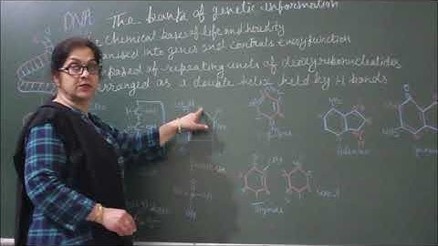 Bo-XII-6-01 DNA Introduction,  Pradeep Kshetrapal channel