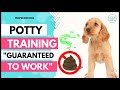 Step by step guide  To POTTY 💩 Train Your Puppy  🐶 easily. II Puppy Training tips. II