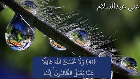 تلاوة خاشعة بصوت الشبل علي عبد السلام اليوسف.