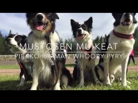 Mustosen Muikeat -