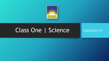 Class One | Science | Lecture 14