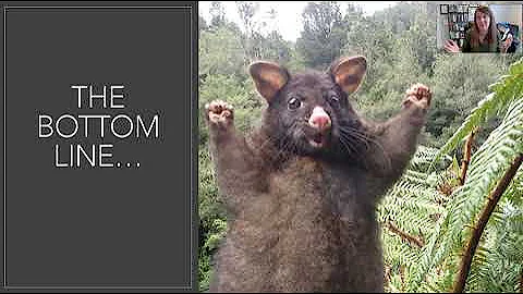 Social Work Careers- Types of Social Work Jobs