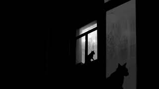 What cats think when they stare into the abyss #darkelectroswing #riffkitten
Riff Kitten is back with his signature brew of dark electro swing. Combining a gothic piano style, haunting vocals, a touch of brass and a hip-hop beat, he creates an atmosphere that is both mysterious & intriguing. The personification of the abyss gazing back. Out now here: https://idol-io.ffm.to/nightmuse
The antepenultimate single ahead of his 4th album on Freshly Squeezed, featuring his classically trained piano talent and top notch production. Skilfully crafted and masterfully made. This kitten isnt afraid to show its claws!
Watch a mesmerizing cat silhouettes against a moonlit window. This visualiser embodies the track, specifically the sound of staring into the abyss. Does it stare back?
https://idol-io.ffm.to/nightmuse
LYRICS:
Dark skies are a canvas
In luminous shades
The eve invites us
As the crickets play
Youre cradling the stars
Giving life to the dark
You are the night muse
In delicate hues
Painted by shadows
Our moonlit travels
A serene glow in
The twilight violet
I am at home in
The living silence
Youre cradling the stars
Giving life to the dark
You are the night muse
In delicate hues
Painted by shadows
Our moonlit travels
Written & Produced by Riff Kitten
To hear more from FRESHLY SQUEEZED check out the Freshly Squeezed - Top 25 Playlist: • Freshly Squeezed - Top 25 Playlist - VIDEOS
© Copyright: 2026 Freshly Squeezed
℗ Production: 2026 Freshly Squeezed
If you enjoyed this video, wed be delighted if you shared it...
Even more so if you SUBSCRIBE to this channel here: https://www.youtube.com/user/freshlysqueezedmusic/?sub_confirmation=1
Or our new JUKEBOX CHANNEL for audio streams, radio shows, DJ mixes (and more) here: http://vid.io/xca6
c and p Freshly Squeezed (Music Ltd)
All Rights Reserved
http://www.freshlysqueezedmusic.com
About the LABEL:
FRESHLY SQUEEZED are world leaders in putting a modern dance music spin on vintage records (Mixmag) - we are the independent British label behind the award-winning compilation series, night club and live events including WHITE MINK - Electro swings first landmark moment - and ground-breaking brands like the worlds first ELECTRO SWING Club (London), ELECTRO BLUES or VINTAGE REMIX (with Island Records). We have released music and compilations from artists including SWINGROWERS, CUT CAPERS, ODD CHAP, LITTLE VIOLET, JAMIE BERRY, SWING REPUBLIC, JFB, MISTA TRICK and many, many more. Promoting sell-out UK shows by artists including CARAVAN PALACE and PAROV STELAR. The label has always led the way in fusing vintage influences with a contemporary twist. Yay!
If you read this far, dont forget to SUBSCRIBE!
https://www.youtube.com/user/freshlysqueezedmusic/?sub_confirmation=1 What cats think when they stare into the abyss #darkelectroswing #riffkitten