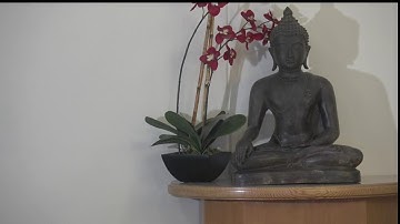 7:00 a.m. Guided Meditation; 7:30 a.m. Dharma Talk with Gil Fronsdal