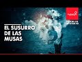 Noche de Misterio | El susurro de las musas