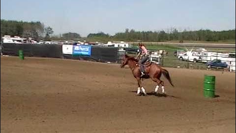 Barrel Horse - 1D Son of Bob Acre Doc for sale, finished cutter