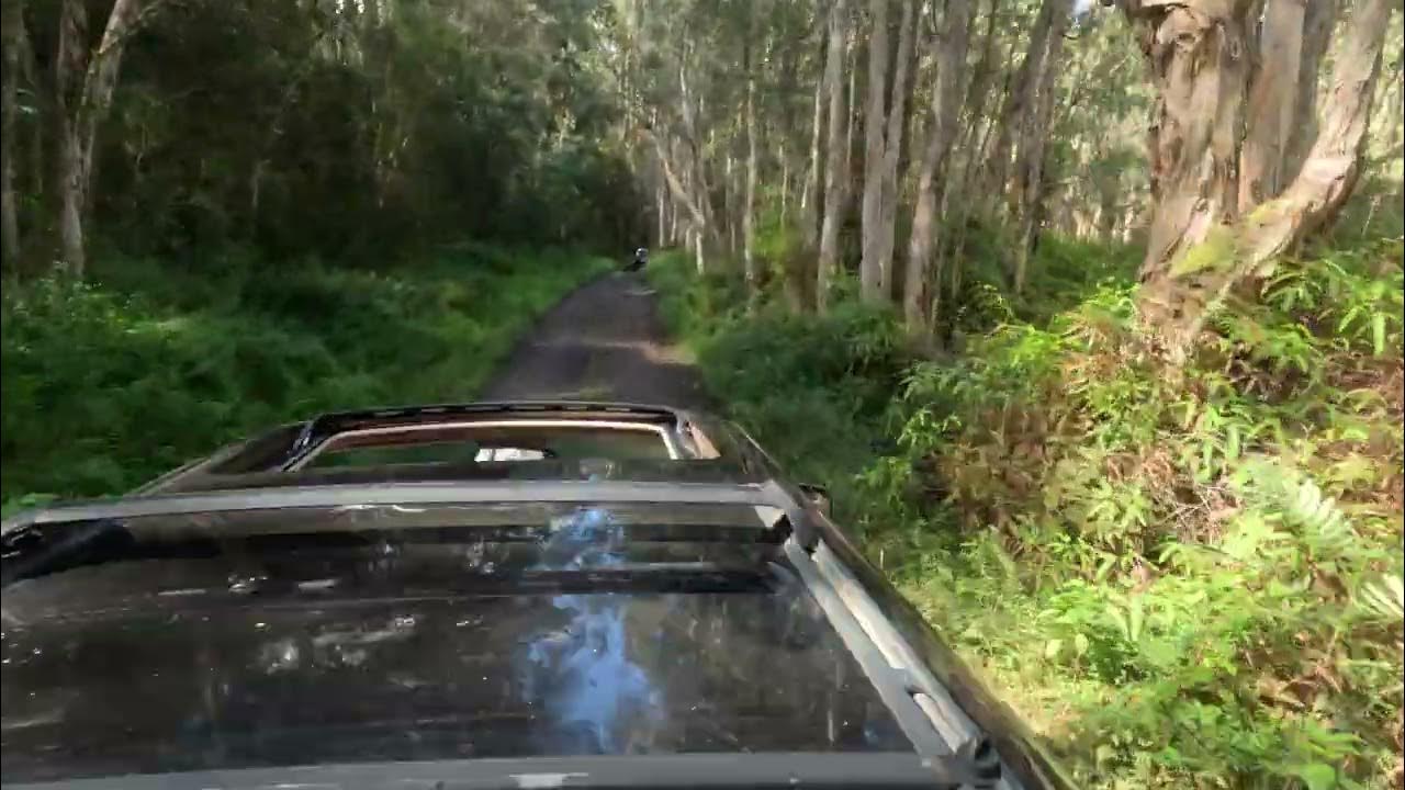 KAUAI loop road dec 30 2022 P.4 YouTube