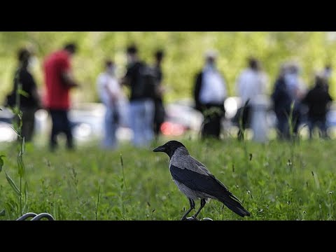COVID-19: Εκστρατεία υπέρ