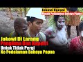 Tanah Papua Di Era Presiden Jokowi