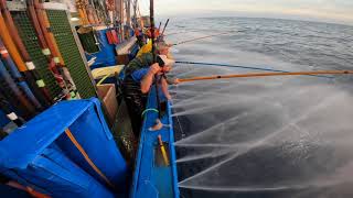 Pesca de Bonito del Norte a bordo del Tuku-Tuku (Hondarribia)