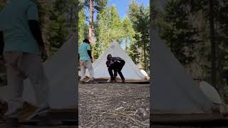 Tentscape Timelapse.