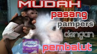 Cara memasang pampers/popok monpai