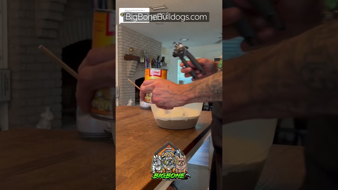 Puppy mush recipe revealed! 3 simple ingredients! Breeder tips&tricks #shortsdog #whelping puppies