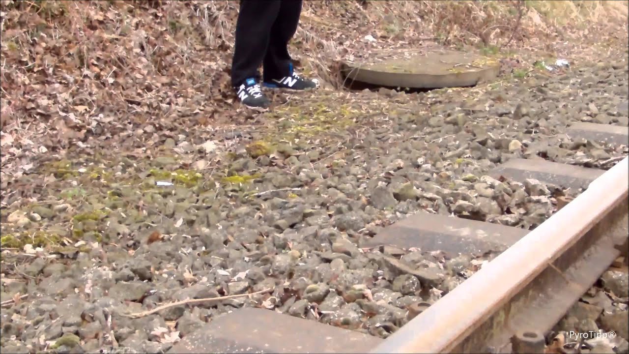 Blumentopf, Metallbecher und Konservendose  vs. Fp3