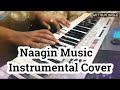 Naagin music  instrumental cover