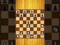 bishops defend and pawn hunt #chess #puzzle #shorts