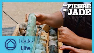 Sin jade hasta que se derrame sangre | La Fiebre del Jade 106 | Todo Life