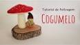 O Mundo Encantado dos Cogumelos ile ilgili video