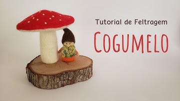 Tutorial de Feltragem - Cogumelo