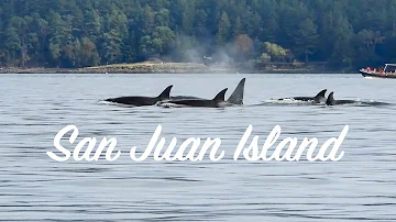 Which parks have orcas?