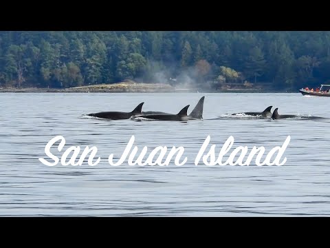 Video: 10 cosas divertidas para hacer en la isla Whidbey de Washington