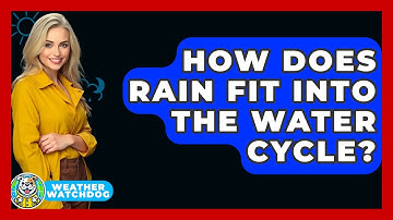 How Does Rain Fit Into The Water Cycle? - Weather Watchdog