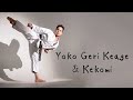Yoko geri keage  kekomi commentary by skif sensei katsu tjshuhari shotokan karate association