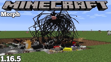 MORPH MOD UPDATE - MINECRAFT 1.16.5 (MOD SHOWCASE)