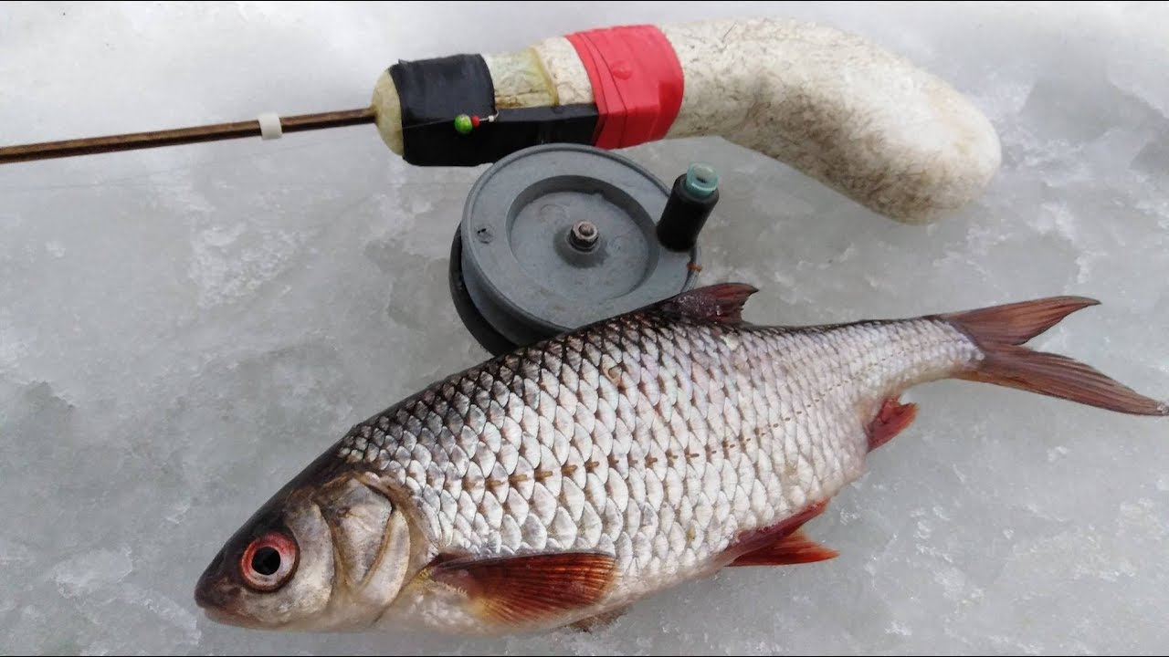 ⁣Зимняя ловля плотвы секреты рыбалки