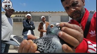 كنطرول عند البطل الكبير ايت امغار محمد احد الأبطال الكبار المرموقين في ساحة الحمام الزاجل