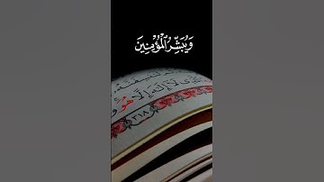 #راحه_وطمأنينه_للقلب #القرآن_الكريم #تلاوة_هادئة #رمضان #راحة_نفسية #الهدايا #تلاوة_خاشعة #القرآن