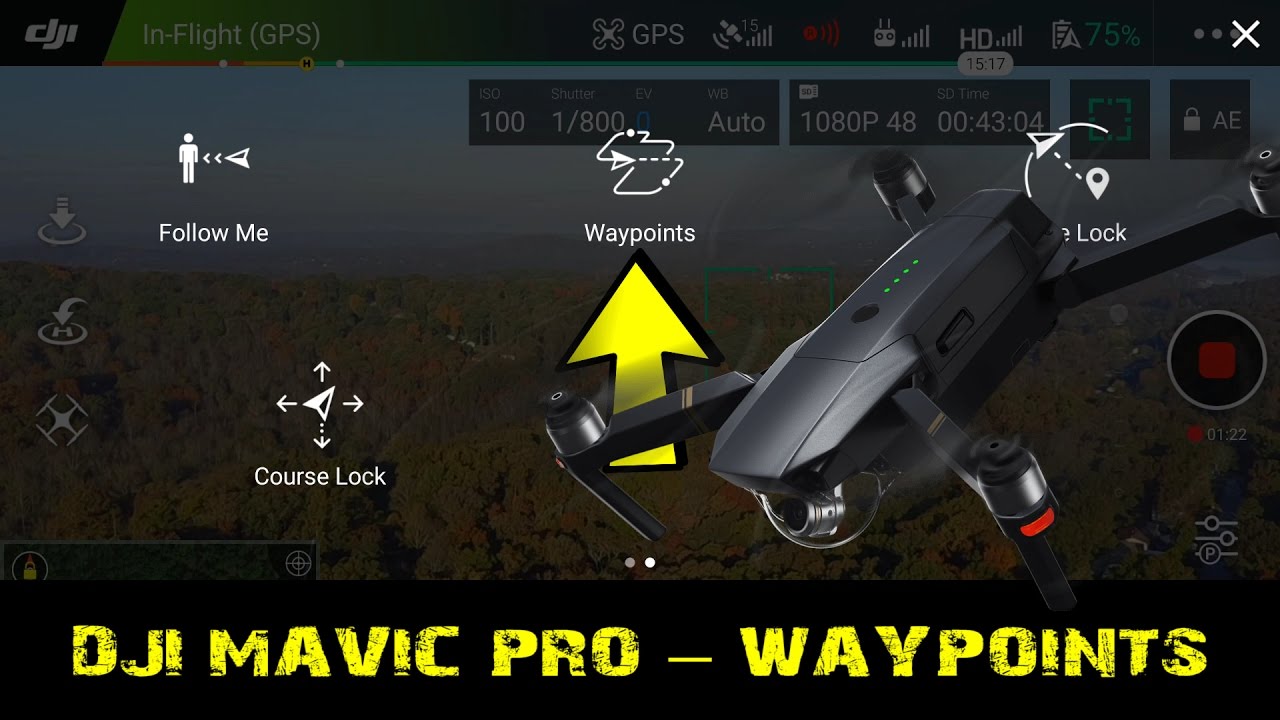 dji mavic pro waypoint mode