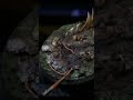 Grimdark Basing - Quarantined Steppe || Basing tutorial for Warhammer
