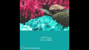 سورة الحديد ( آية 16)