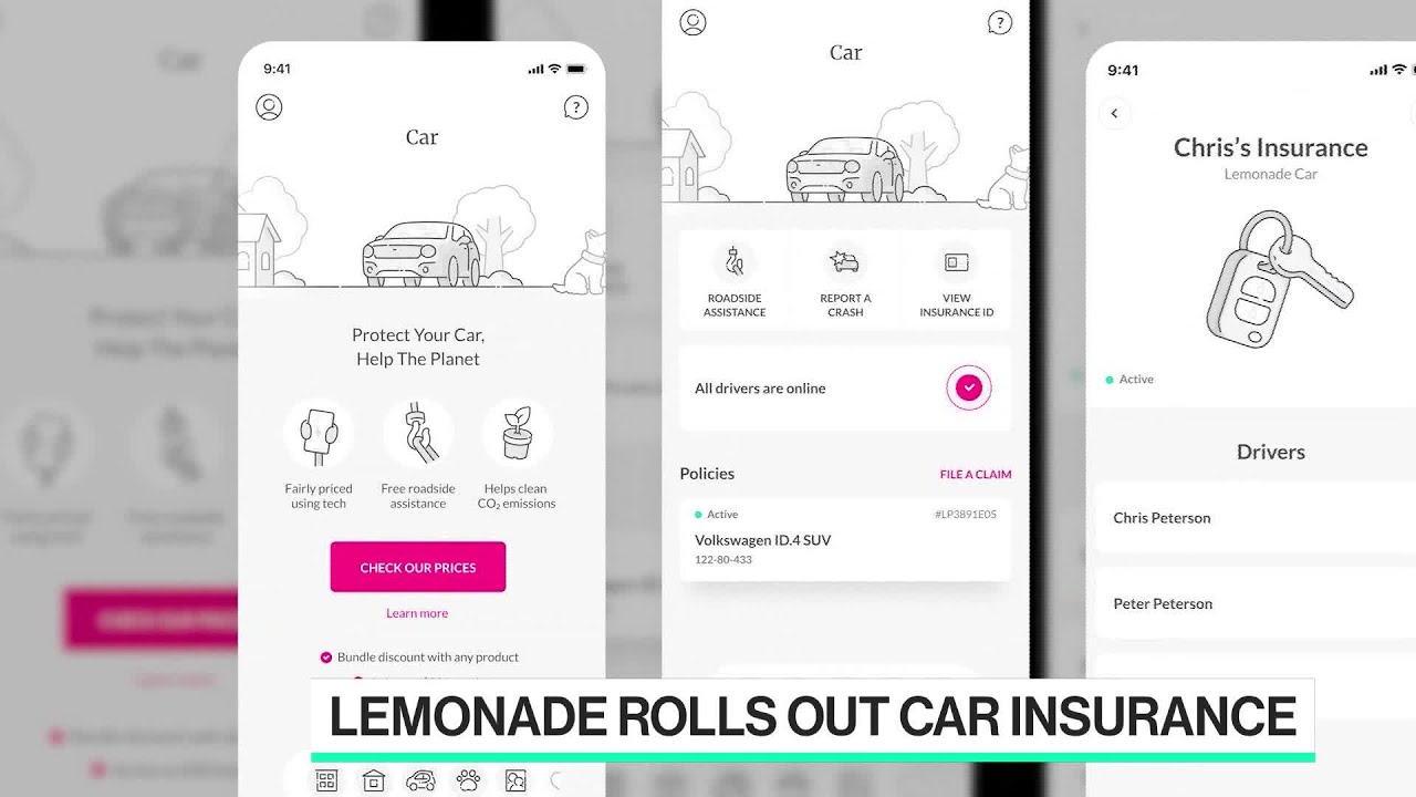 Lemonade CEO on Car Insurance Expansion YouTube