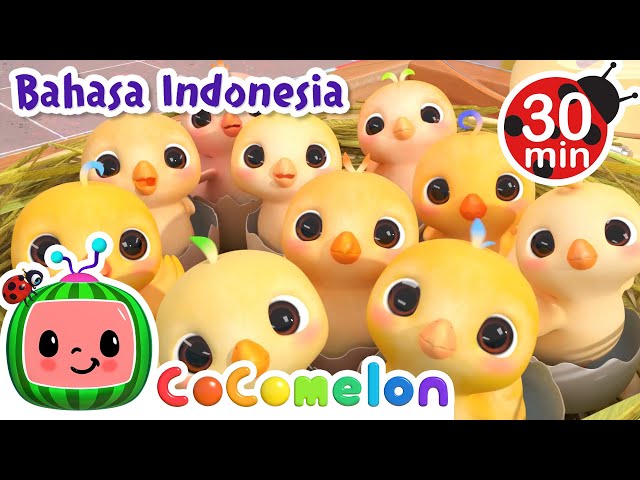 Berhitung Angka dengan Anak Ayam | CoComelon | Lagu Anak | Moonbug Kids Indonesia | Nursery Rhymes class=