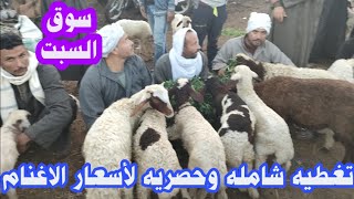تغطيه شامله لأسعار الاغنام من سوق السبت بميت العامل اليوم sheep videos