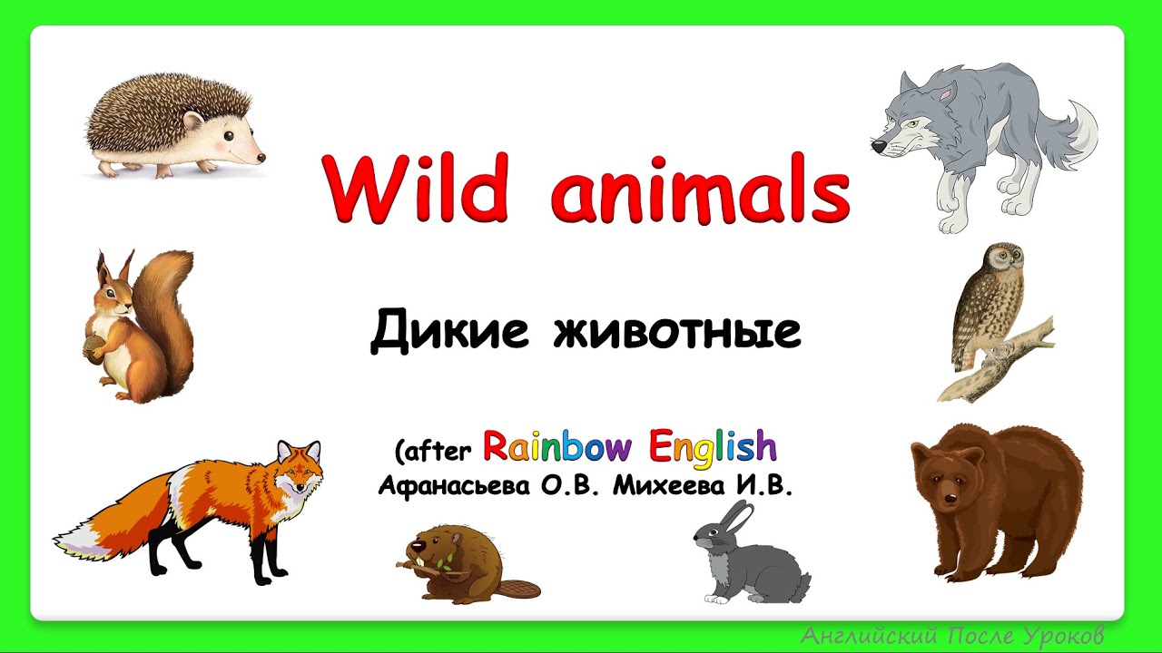 дикие животные на английском для детей. Domestic animals домашние животные. животные на английском домашние животные. презентация на тему animals. животные задания для детей.