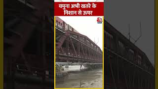 Yamuna River में जलस्तर घटा लेकिन अभी भी खतरे के निशान से ऊपर #shorts #shortsvideo screenshot 2