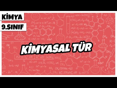 9. Sınıf Kimya - Kimyasal Tür | 2022