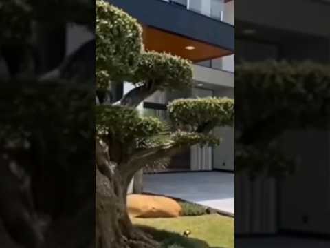 أغلى 5 منازل في العالم منازل الأحلام