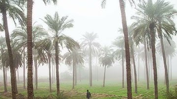 تِلاوة عَطِرة من سوره الاحزاب |محمّد أيوب-رحمه الله-#قرآن #يوم_الجمعة #اللهم_صل_وسلم_على_نبينا_محمد 