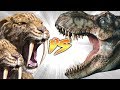 2 Saber-toothed tigers VS Tyrannosaurus rex?!