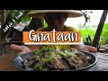 Ginataang hito | Catch and Cook | recipe ng mga ilocano