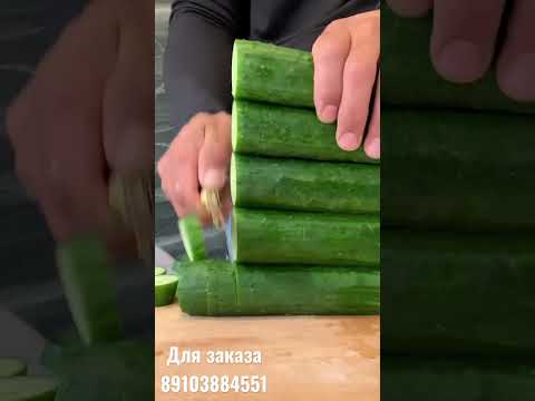 Узбекский пчак в деле - YouTube