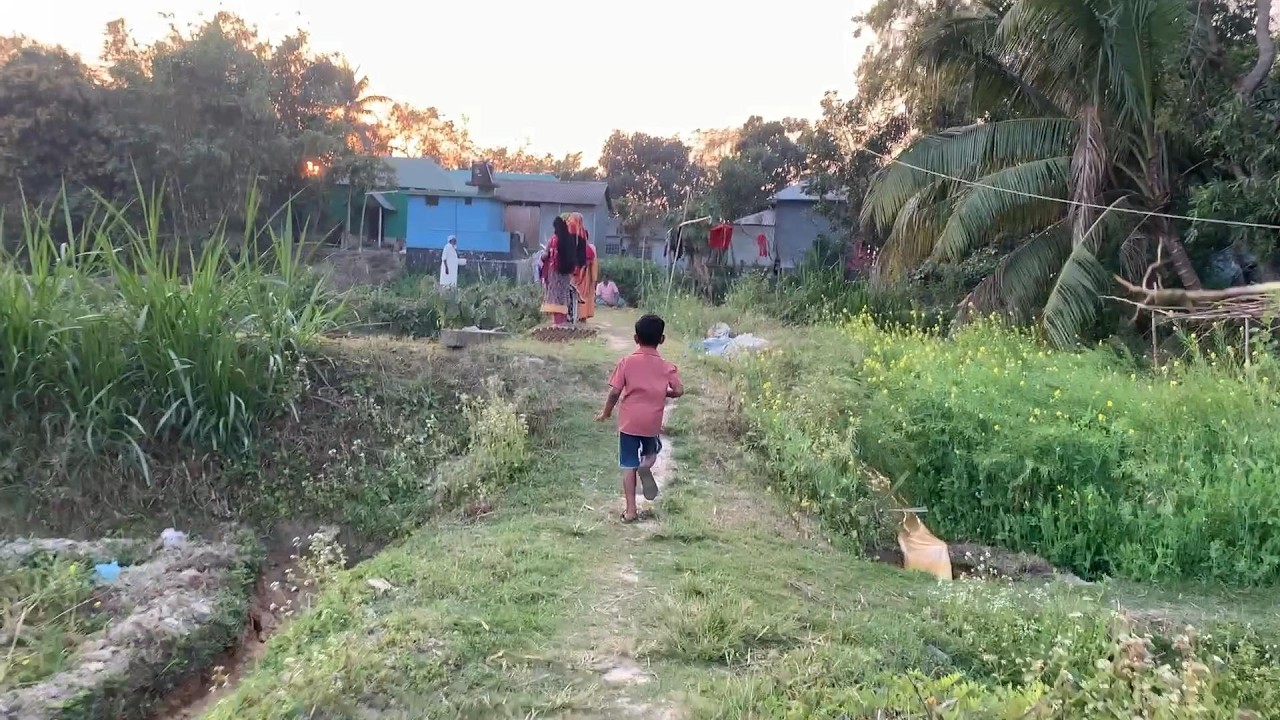 বাংলাদেশের কৃষি ও কৃষক পরিবারের জীবন যাপন 🌴simple village life